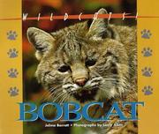 Bobcat  Cover Image