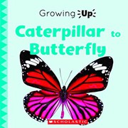 Caterpillar to butterfly  Cover Image