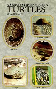 A step by step book about turtles  Cover Image