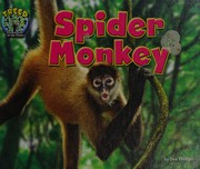 Spider monkey  Cover Image