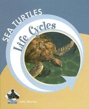 Sea turtles  Cover Image