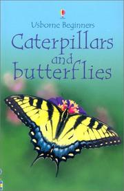 Caterpillars and butterflies  Cover Image