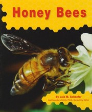 Honey bees  Cover Image
