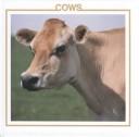 Cows Book cover