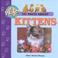 Go to record 101 facts about kittens