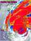 Go to record Facing our future : Hurricane Floyd and recovery in the co...