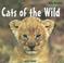 Go to record Cats of the wild