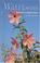 Go to record Wild flowers of North Carolina