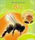 Go to record The life cycle of a bee