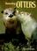 Go to record Amazing otters
