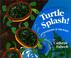 Go to record Turtle splash! countdown at the pond