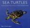 Go to record Sea turtles : an extraordinary natural history of some unc...