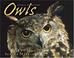Go to record Owls