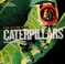 Go to record Face to face with caterpillars