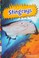 Go to record Stingrays