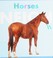 Go to record Horses neigh
