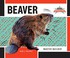 Go to record Beaver : master builder