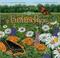 Go to record A place for butterflies