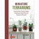 Go to record Miniature terrariums : tiny glass container gardens using ...