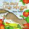 Go to record The busy little squirrel