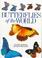 Go to record Butterflies of the world
