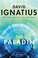 Go to record The paladin : a spy novel