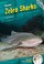 Go to record Zebra sharks