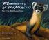 Go to record Phantom of the prairie : year of the black footed ferret