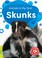 Go to record Skunks