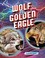 Go to record Wolf vs. golden eagle