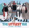 Go to record The littlest yak