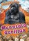 Go to record Mountain gorillas
