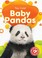 Go to record Baby pandas
