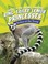 Go to record Ring-tailed lemur princesses : rulers of the troop