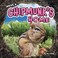 Go to record Inside a chipmunk's home