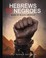 Go to record Hebrews to Negroes : wake up Black America!
