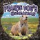 Go to record Inside a prairie dog's hideaway