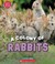 Go to record A Colony Of Rabbits