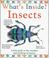 Go to record Insects.