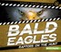 Go to record Bald eagles : raptors on the hunt