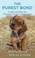 Go to record The purest bond understanding the human-canine connection