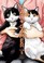 Go to record Cat + gamer. 05