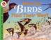 Go to record How do birds find their way?