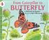 Go to record From caterpillar to butterfly