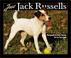 Go to record Just Jack Russells