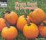 Go to record From seed to pumpkin