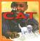 Go to record Cat
