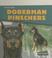 Go to record Doberman pinschers