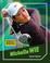 Go to record Michelle Wie
