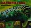 Go to record Caterpillars